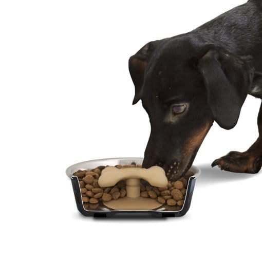 Dogtraining101 Retail Super Store Loving Pets Gobble Stopper