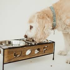 LPA Loving Pets Wooden Woof Dog Diner 2L