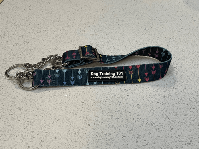 Dogtraining101 Extra Large Martingale Arrows Design
