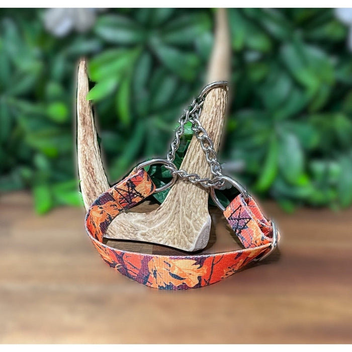 Dogtraining101 Large Martingale Autumn Design