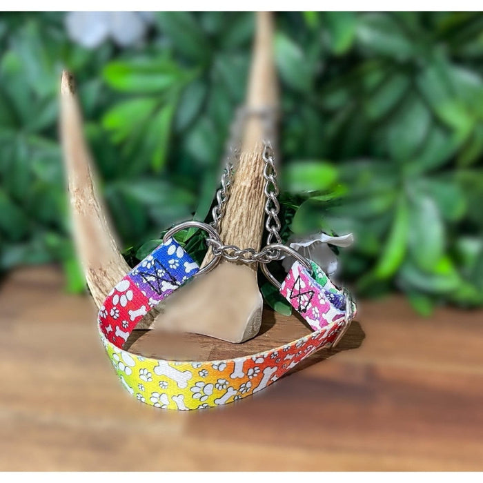 Dogtraining101 Medium Martingale Paws and Bone Design