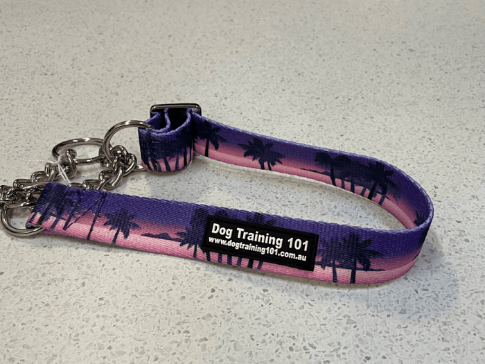 Dogtraining101 Large Martingale Purple Sunset Design