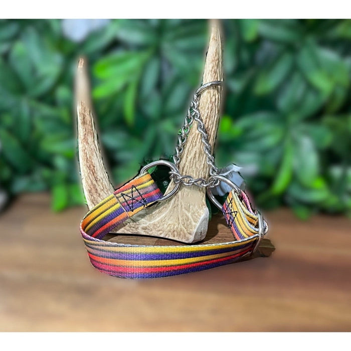 Dogtraining101 Medium Martingale Stripe Design
