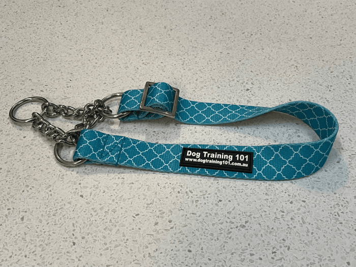 Dogtraining101 Medium Martingale Teal Foil