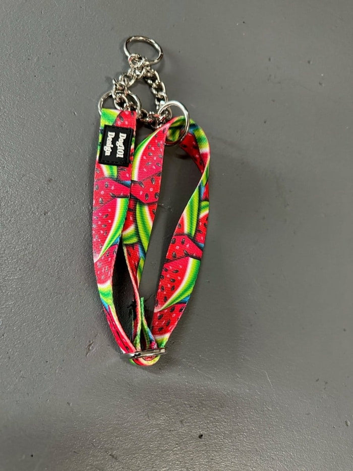 Dogtraining101 Martingale Watermelon Design