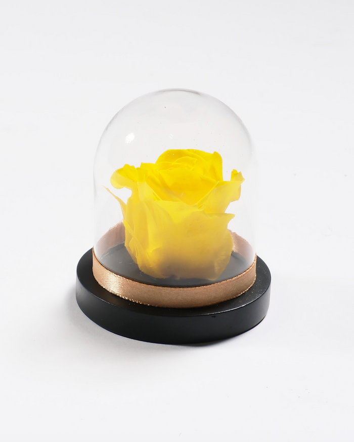 Canary Yellow