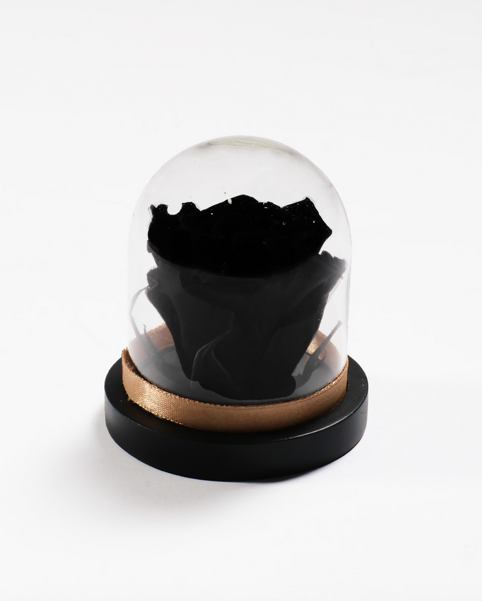 Mini Rose Dome