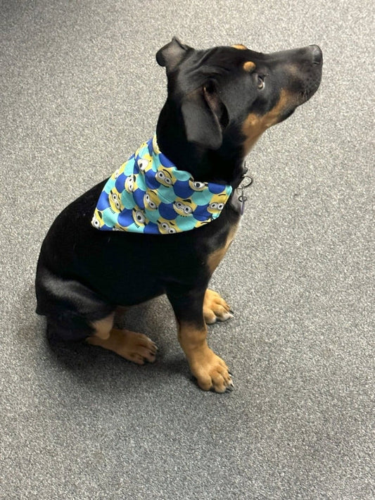 Dogtraining101 Minions Bandana