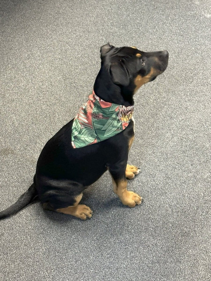Dogtraining101 Native Aussie Plants Bandana