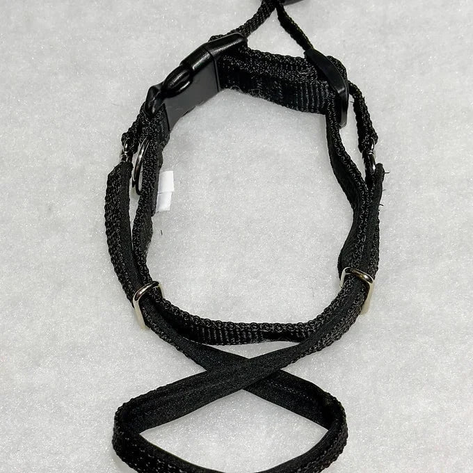 Dogtraining101 Retail Dog Super Store Nose Black - Neck Black - Size 1 Dog101 Halter
