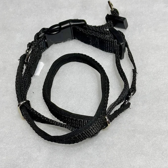 Dogtraining101 Retail Dog Super Store Nose Black - Neck Black - Size 1 Dog101 Halter