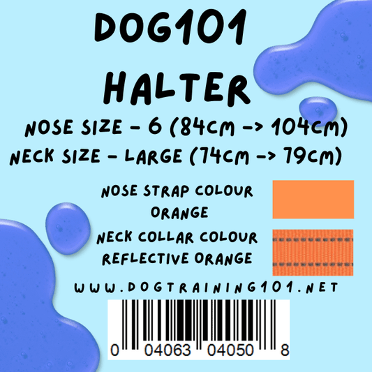Dogtraining101 Retail Dog Super Store Large 69cm to 74cm Nose Orange - Neck Reflective Orange - Size 6 Dog101 Halter