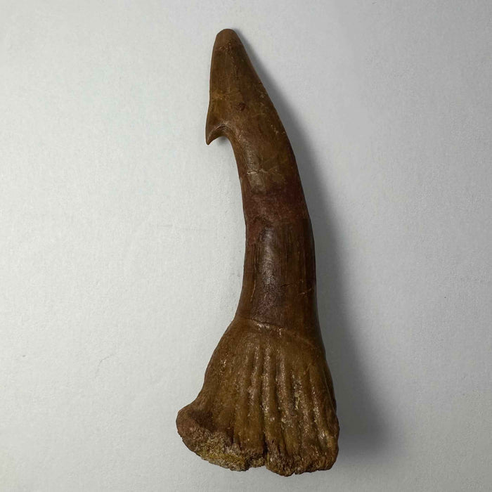 2.75" #9