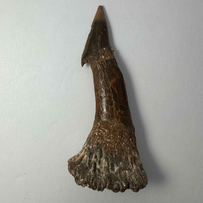 3" #4