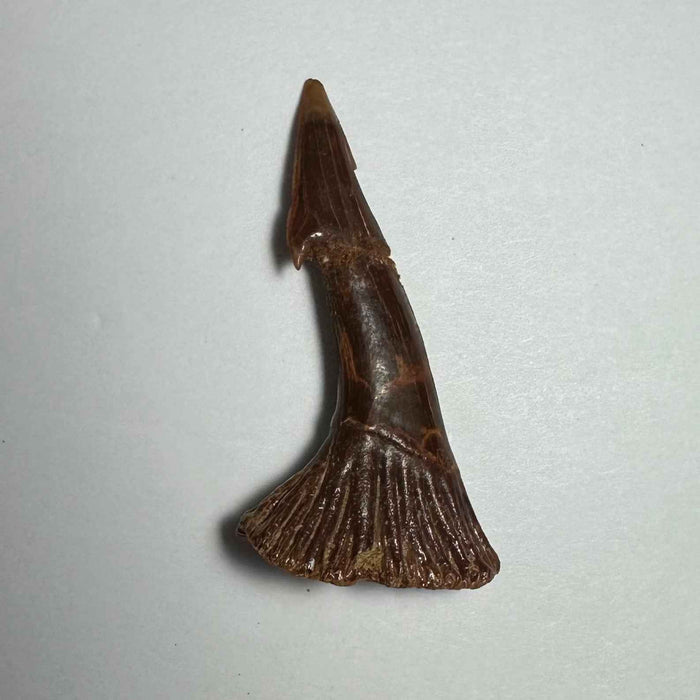 2.25"  #9