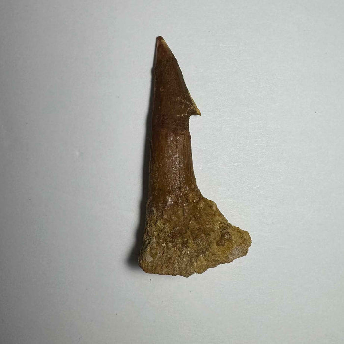 2.5"  #11