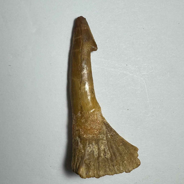 2.5"  #12