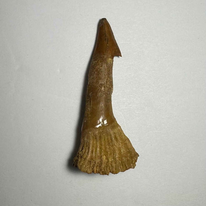 2.75"  #14