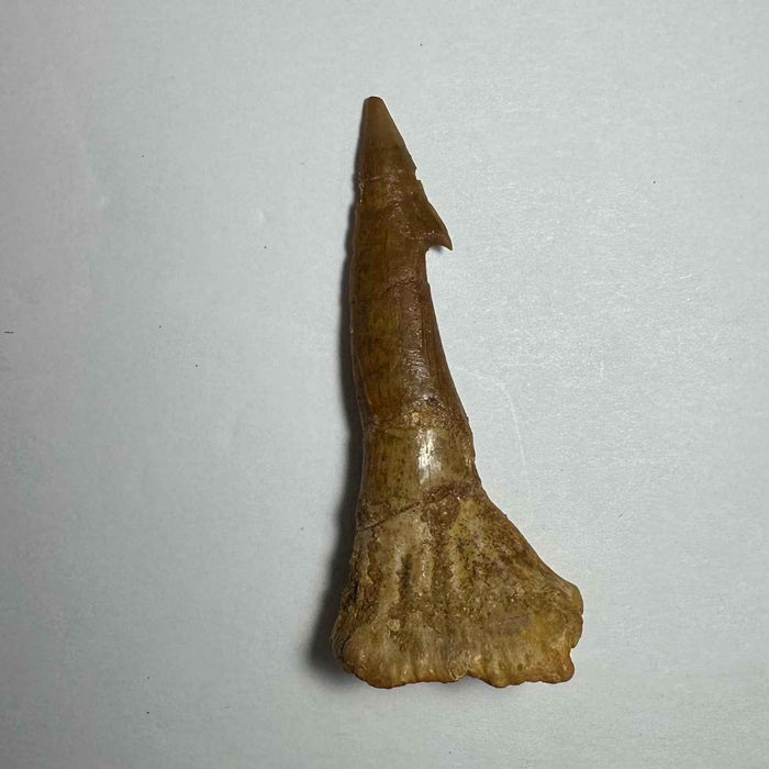 2.5"  #15