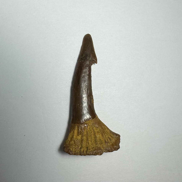 2.25"  #16