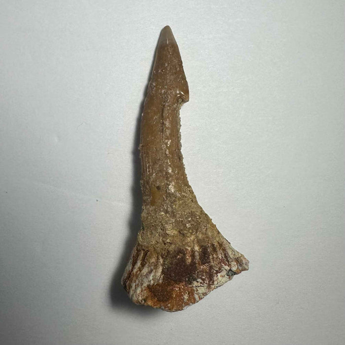 2.25"  #17
