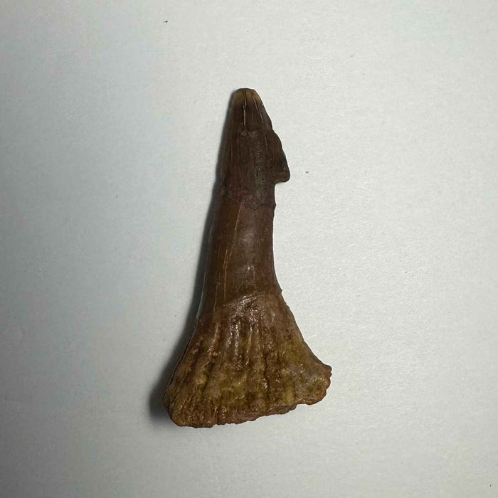 2.25"  #18