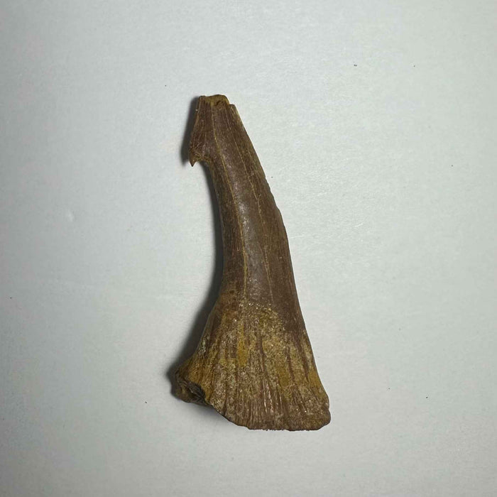 2.25"  #19