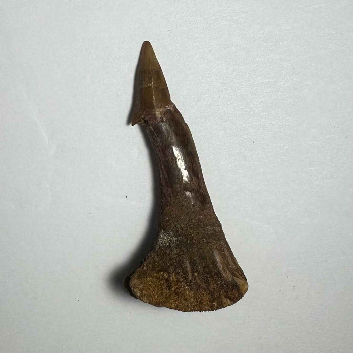 2.25"  #20