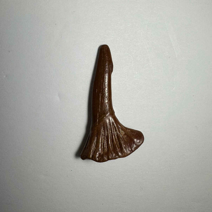 1.75"  #10