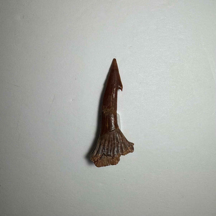 2"  #11