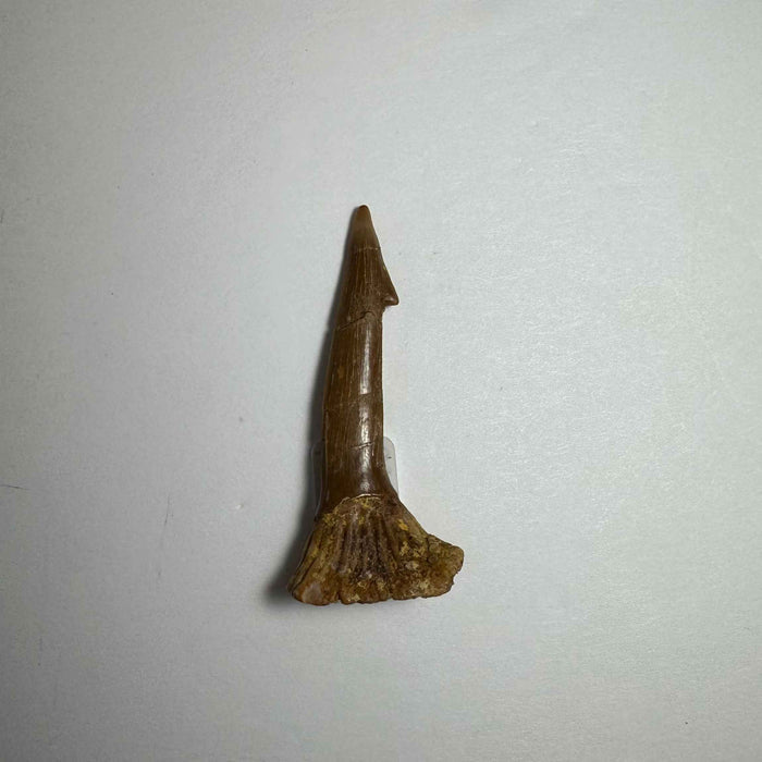 1.75"  #12