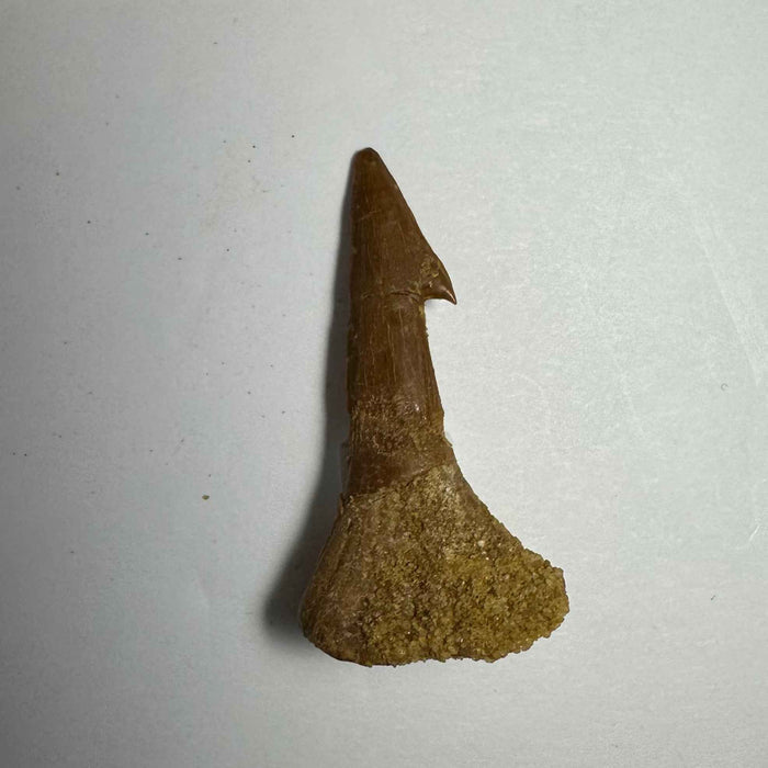 1.75"  #13