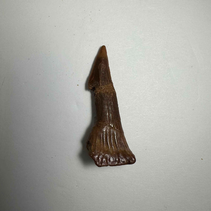 2"  #18