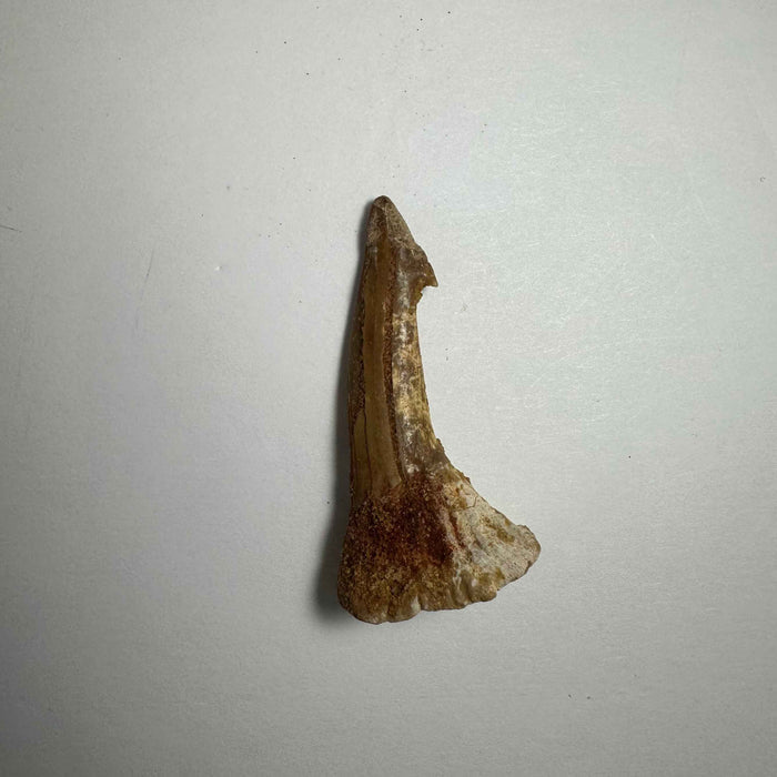 2"  #21