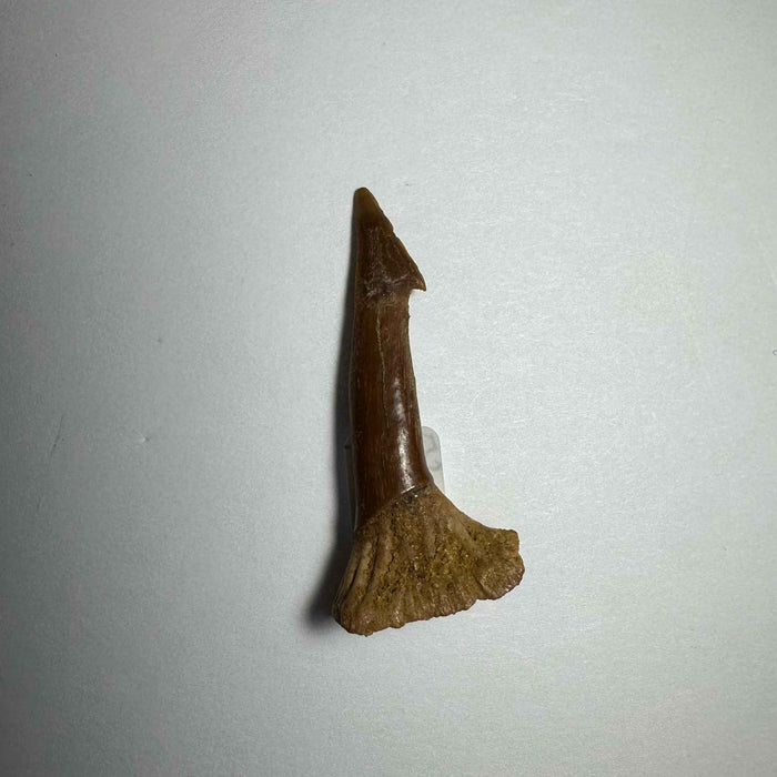 1.75"  #9