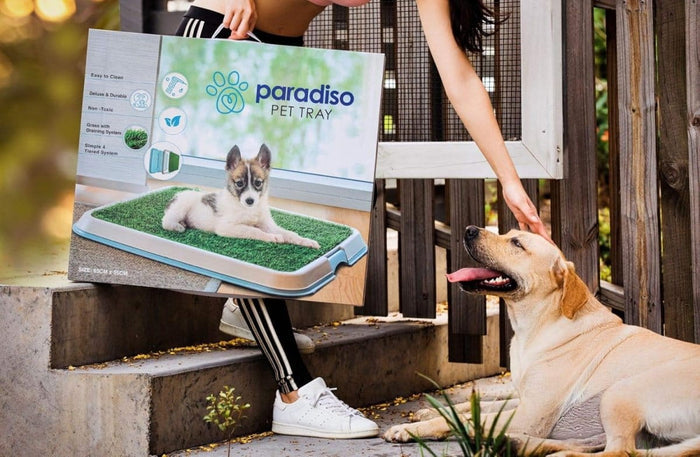 Paradiso PARADISO Pet Tray 65cm*55cm*4cm, with Astro Turf, in Door Training