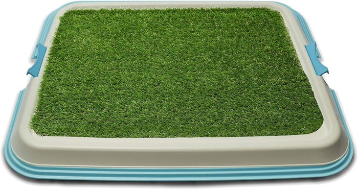 Paradiso PARADISO Pet Tray 65cm*55cm*4cm, with Astro Turf, in Door Training