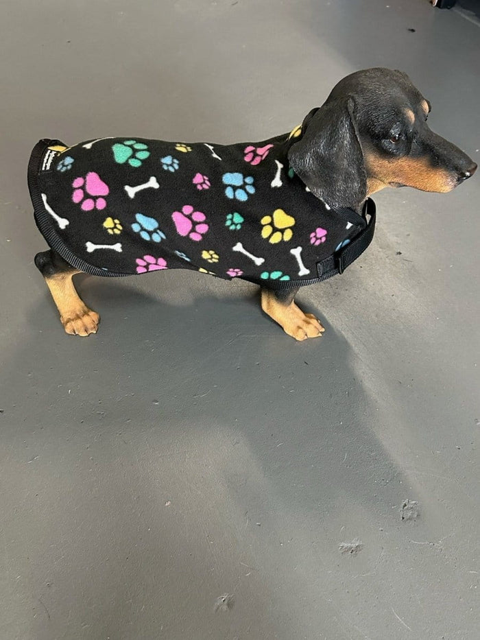 Dogtraining101 X Small Paw and Bone Indoor Winter Jacket