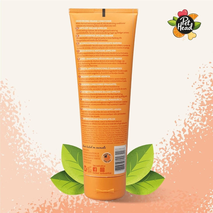 Dogtraining101 Retail Super Store Pet Head Ditch the Dirt Deodorizing Conditioner