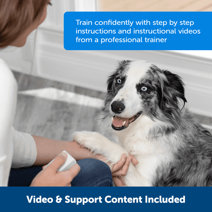 Pet Safe Pet Safe Teach and Treat