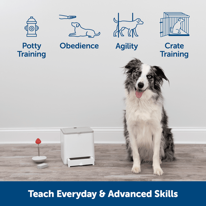 Pet Safe Pet Safe Teach and Treat