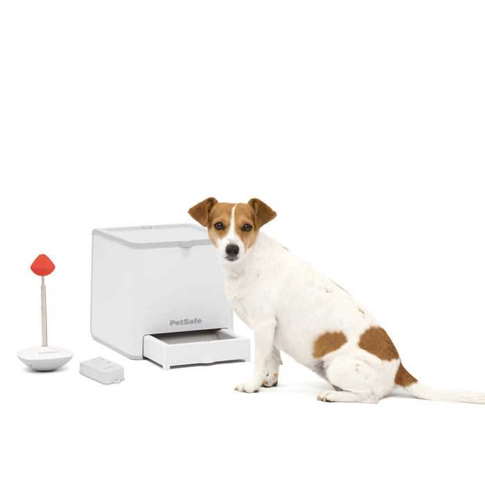 Pet Safe Pet Safe Teach and Treat
