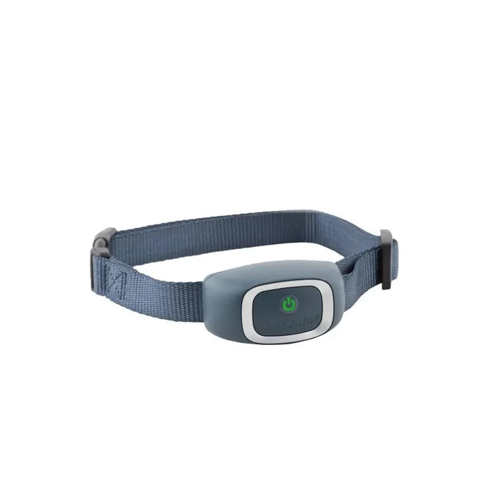Pet Safe PetSafe Static Bark Collar - PBC17-16635