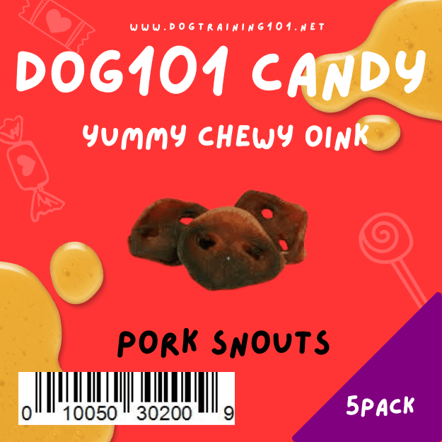 Dogtraining101 Treats 5 Pack Pig Snouts