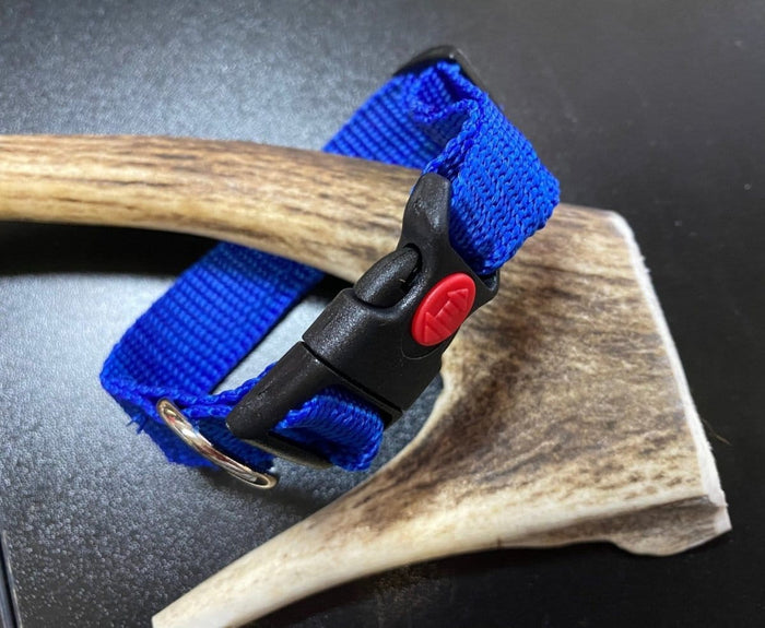 Dogtraining101 Plain Blue collar (Small/Puppy)