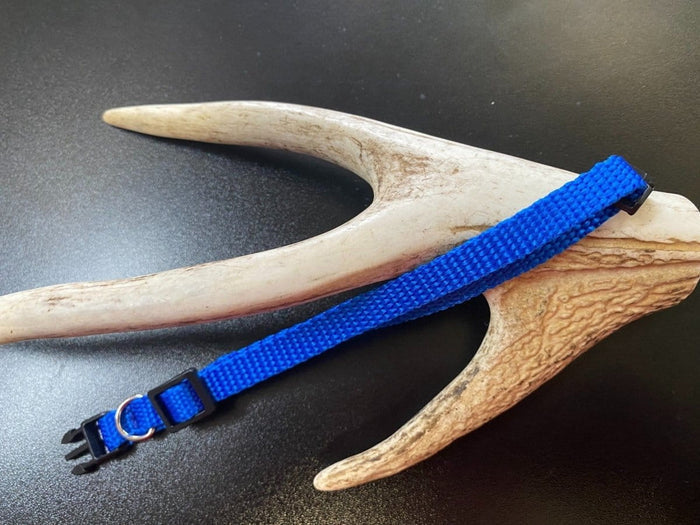 Dogtraining101 Plain Puppy Collar Dark Blue