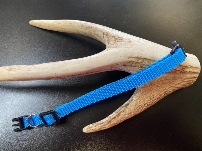 Dogtraining101 Plain Puppy Collar Light Blue