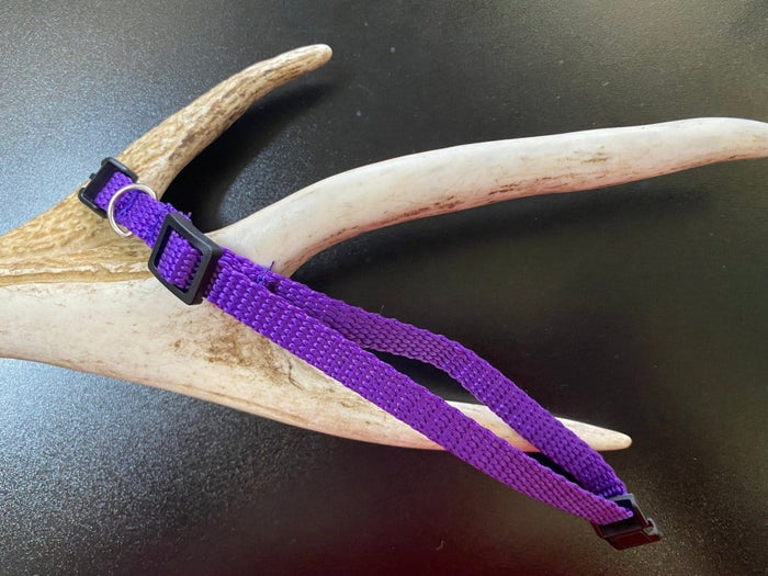 Dogtraining101 Plain Puppy Collar Purple