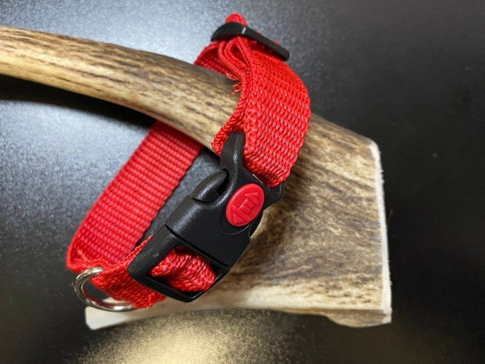 Dogtraining101 Plain Red collar (Small/Puppy)