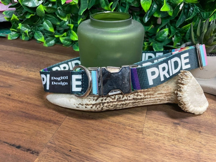 Dogtraining101 Pride Metal Clip Collar